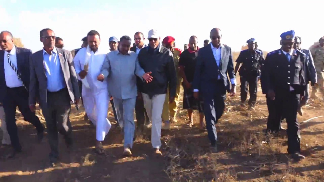 Daawo Madaxweynaha Oo Kormeeray Waxsoo saarka Beeraha Banka Wajaale Xadhigana ka jaar laba Waddo oo laga hirgeliyey Arabsiyo iyo Gabiley Gudeheeda