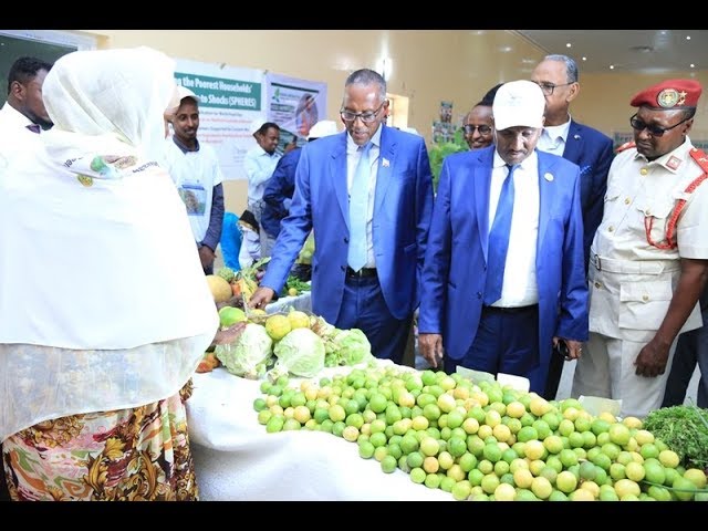 Madaxweynaha Somaliland oo ka qayb-galay munaasibad loogu dabbaaldegayo maalinta cuntada adduunka oo ku beegan 16-ka Bisha Tobnaad oo maanta lagu qabtay magaalada Hargeysa