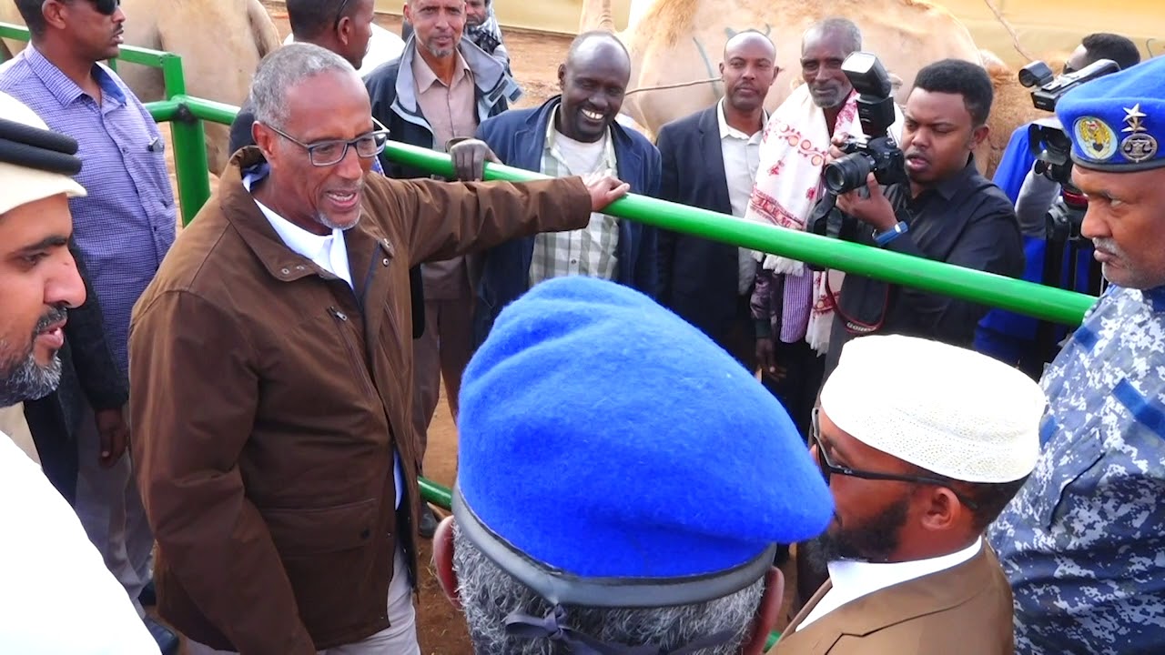 Muuqaalka guud ee Kormeerka Madaxweynaha Somaliland ku tegay Tartanka Geela Somaliland
