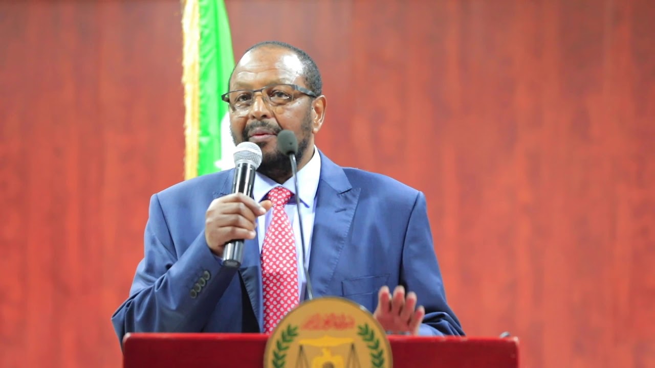 “Taariikhda uruuriya, waar taariikhdeena ilaaliya, haddii ka nooli maanta taariikh waayo kii geeriyoodayna taariikh heli maayo, ubadkii aynu dhalnay ee soo korayeyna taariikh heli maayaan” Mujaahid Axmed Mire Maxamed