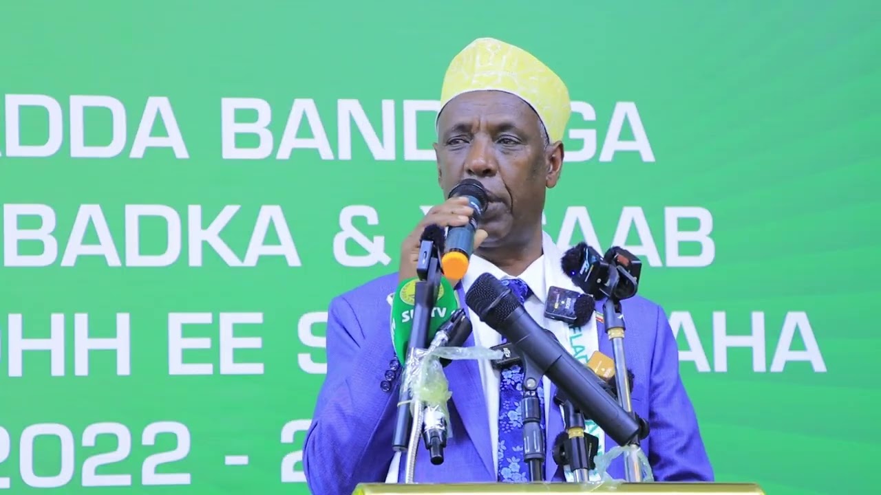 “waxaan hambalyeynayaa Dawladda Hoose ee Hargaysa oo maanta muujisay waxqabadkii ay bulshadooda u qabteen, waxaana leeyahay dawladaha hoose ee dalka waa inaad bulshadiina u soo bandhigtaan waxaad u qabateen”. Madaxweyne Ku xigeenka Jamhuuriyadda Somaliland Md. Maxamed Cali Aw Cabdi
