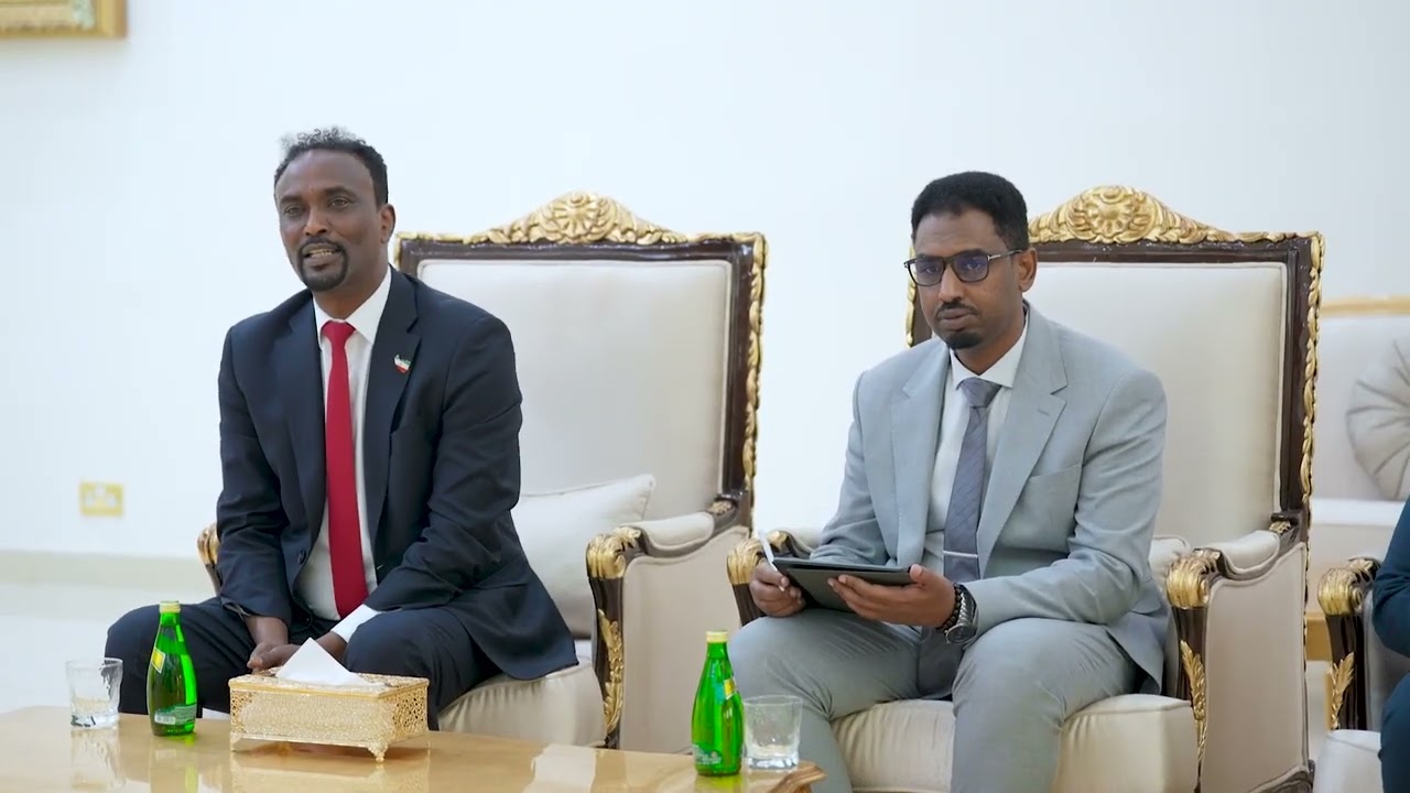 Daawo: Madaxweynaha JSL oo kulan la yeeshay Danjiraha dalka Switzerland